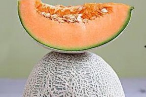 娱乐吃瓜养生,吃瓜养生两不误