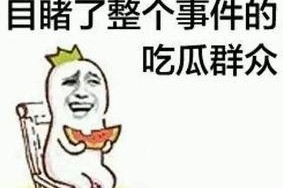 吃瓜娱乐打人案件真相,揭秘打人案件真相