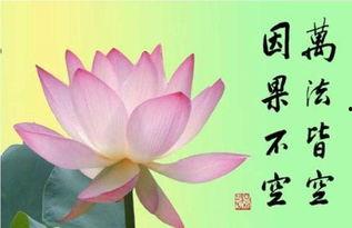 因果报应,善恶有报，命运轮回的必然法则