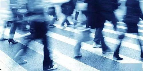 下层人,探寻社会底层群体的真实生活