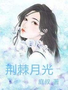 荆棘与旧月光,探寻心灵深处的故事